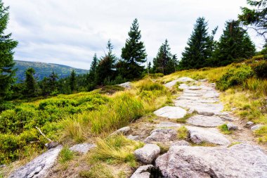 Polonya ve Çek Cumhuriyeti sınırında yürüyüş yolları ve Karkonosze (Krkonose) dağlarının ulusal parkı görülüyor. Güzel manzaralı güzel yaz manzarası.