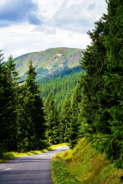 Utsikt Över Vandringsleder Och Karkonosze Krkonose Berg Nationalpark Vid Polen — Stockfoto