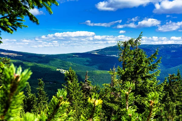 Polonya Çek Cumhuriyeti Sınırında Yürüyüş Yolları Karkonosze Krkonose Dağlarının Ulusal — Stok fotoğraf