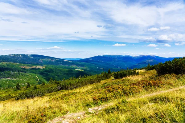 Polonya ve Çek Cumhuriyeti sınırında yürüyüş yolları ve Karkonosze (Krkonose) dağlarının ulusal parkı görülüyor. Güzel manzaralı güzel yaz manzarası.