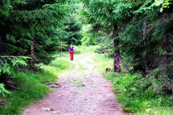 Adventurous Girl Marching Hiking Trail Beautiful Karkonosze Sudets Poland Vibrant — Stock Photo, Image
