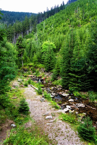 Vista Las Rutas Senderismo Parque Nacional Las Montañas Karkonosze Krkonose — Foto de Stock