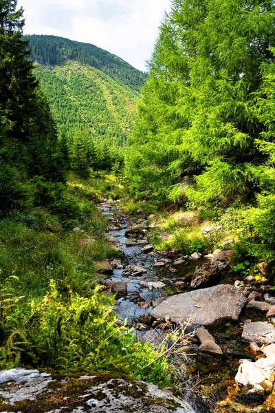 Fuente Del Río Elba Parque Nacional Las Montañas Karkonosze Krkonose —  Fotos de Stock