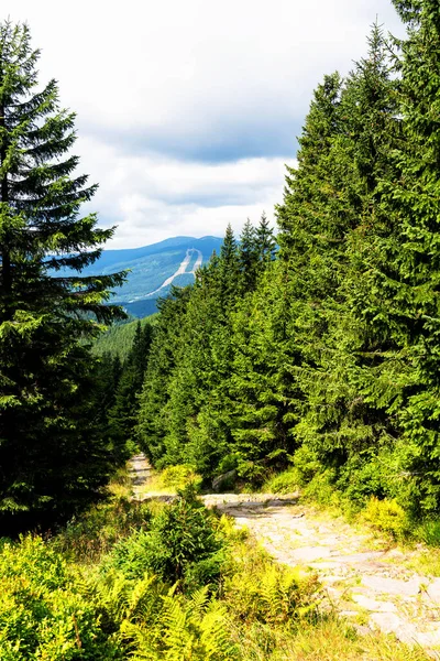 Utsikt Över Vandringsleder Och Karkonosze Krkonose Berg Nationalpark Vid Polen — Stockfoto