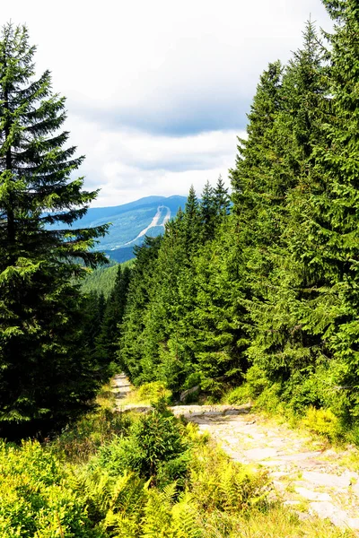 Vista Das Trilhas Para Caminhadas Parque Nacional Das Montanhas Karkonosze — Fotografia de Stock