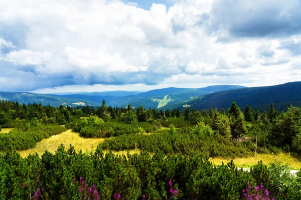 Blick Auf Wanderwege Und Den Nationalpark Riesengebirge Der Grenze Zwischen — Stockfoto