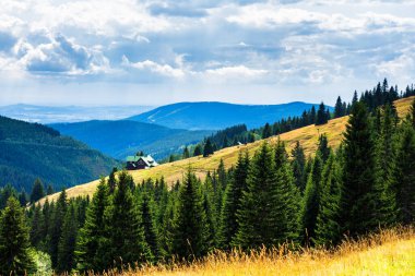 Polonya ve Çek Cumhuriyeti sınırındaki Karkonosze (Krkonose) dağları ve yürüyüş yolları manzarası. Güzel manzaralı yaz manzarası. Spindlerov Mlyn popüler bir turistik yerdir.