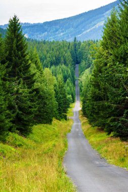 Polonya ve Çek Cumhuriyeti sınırında yürüyüş yolları ve Karkonosze (Krkonose) dağlarının ulusal parkı görülüyor. Güzel manzaralı güzel yaz manzarası.