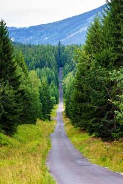 Polonya ve Çek Cumhuriyeti sınırında yürüyüş yolları ve Karkonosze (Krkonose) dağlarının ulusal parkı görülüyor. Güzel manzaralı güzel yaz manzarası.