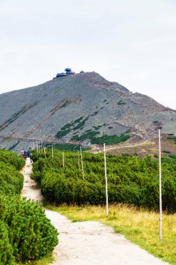 Polonya ve Çek Cumhuriyeti sınırındaki Karkonosze (Krkonose) dağlarındaki Sniezka zirvesinin manzarası. Güzel manzaralı güzel yaz manzarası.