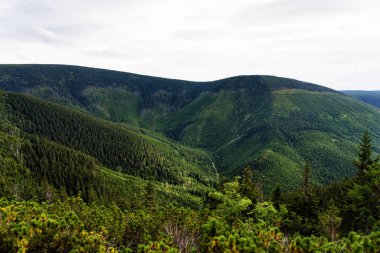 Polonya ve Çek Cumhuriyeti sınırında yürüyüş yolları ve Karkonosze (Krkonose) dağlarının ulusal parkı görülüyor. Güzel manzaralı güzel yaz manzarası.