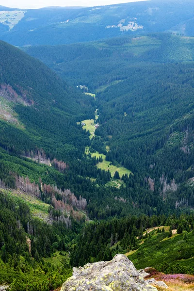 游览波兰和捷克共和国边境的远足小径和Karkonosze Krkonose 山脉国家公园 风景秀丽的夏季风景 — 图库照片