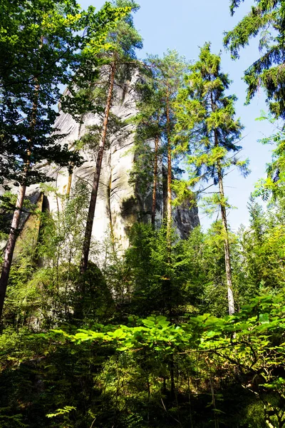 Park Narodowy Adrspach Teplice Rock Miasto Piaskowcowych Skał Szczyty Formacje — Zdjęcie stockowe