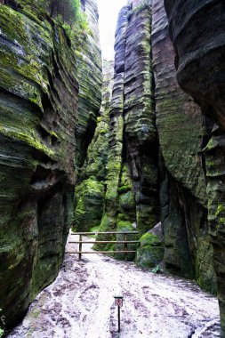 Adrspach Teplice Ulusal Parkı. Çek Cumhuriyeti 'nde kum taşı tepeleri ve oluşumlarından oluşan kaya kasabası
