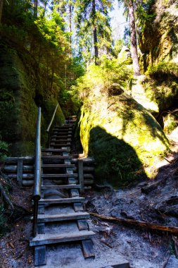 Adrspach Teplice Ulusal Parkı. Çek Cumhuriyeti 'nde kum taşı tepeleri ve oluşumlarından oluşan kaya kasabası
