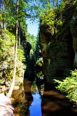 Adrspach Teplice Ulusal Parkı. Çek Cumhuriyeti 'nde kum taşı tepeleri ve oluşumlarından oluşan kaya kasabası
