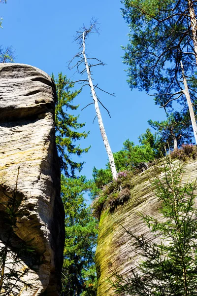 Park Narodowy Adrspach Teplice Rock Miasto Piaskowcowych Skał Szczyty Formacje — Zdjęcie stockowe