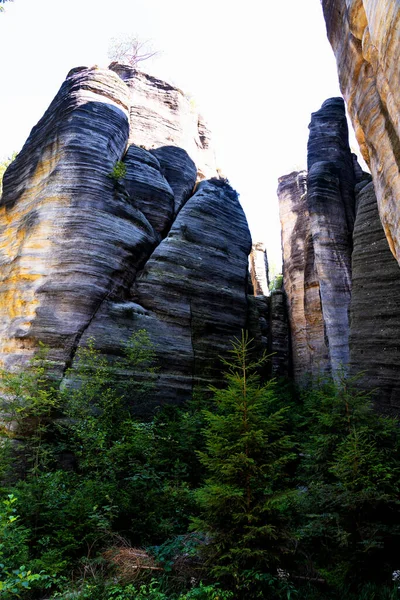 Park Narodowy Adrspach Teplice Rock Miasto Piaskowcowych Skał Szczyty Formacje — Zdjęcie stockowe