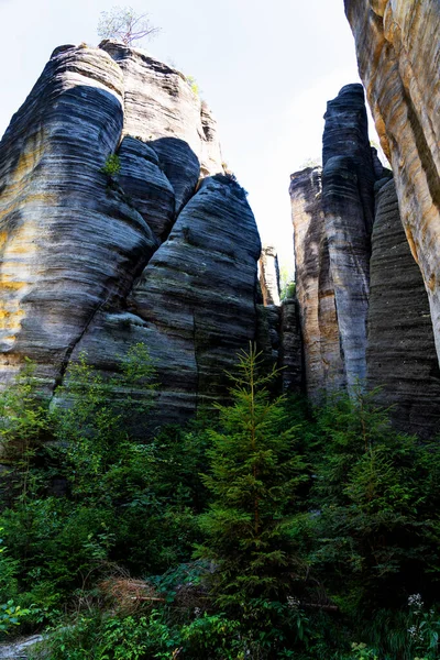 Parque Nacional Adrspach Teplice Rock Ciudad Arenisca Picos Formaciones Rocosas — Foto de Stock