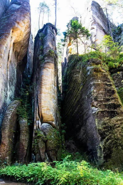 Parco Nazionale Adrspach Teplice Roccia Città Arenaria Cime Formazioni Rocciose — Foto Stock