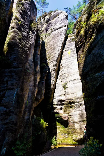 Parco Nazionale Adrspach Teplice Roccia Città Arenaria Cime Formazioni Rocciose — Foto Stock