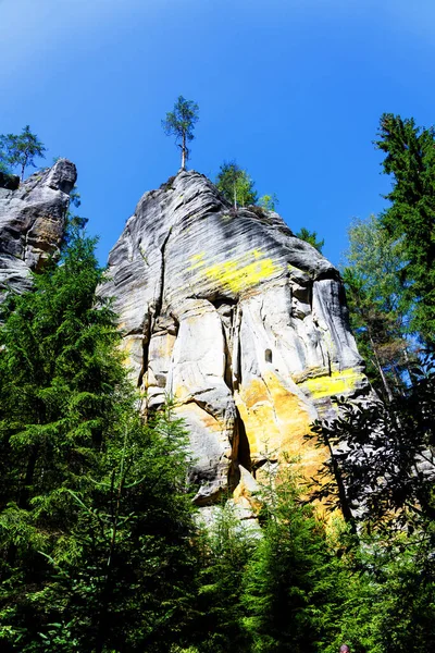 Adrspach Teplice Ulusal Parkı Çek Cumhuriyeti Nde Kum Taşı Tepeleri — Stok fotoğraf