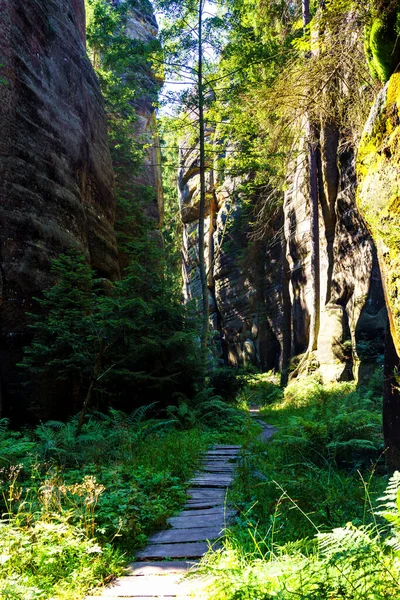 Parco Nazionale Adrspach Teplice Roccia Città Arenaria Cime Formazioni Rocciose — Foto Stock