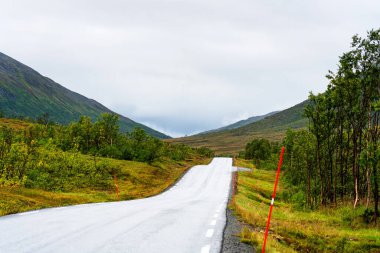 Norveç 'in Senja adasındaki güzel dağ manzaralı sonbaharda manzaralı asfalt yolu. Yolculuk, seyahat, tatil, macera kavramı.