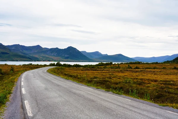 ノルウェーのロフトテン島の海沿いの道路 — ストック写真