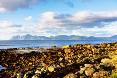 Tipik bir Lofoten Körfezi manzarası. Güzel bir günün sahnesi. Lofoten Adaları dünyanın dört bir yanından gelen insanlar için popüler bir turizm merkezidir ve hala popülerlik kazanmaktadır. Norveç Avrupa