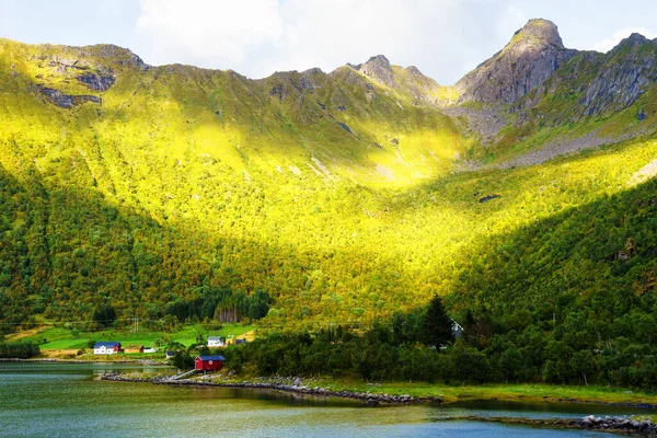 Une Vue Typique Sur Baie Lofoten Scène Sur Une Belle — Photo