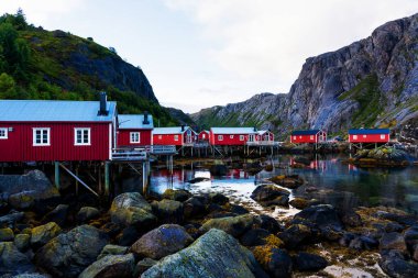 Nusfjord limanında renkli kırmızı balıkçı evleri ve Norveç 'in Lofoten Adaları' nda huzurlu bir akşamda yelkenli tekneleri var.