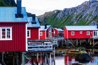 Nusfjord limanında renkli kırmızı balıkçı evleri ve Norveç 'in Lofoten Adaları' nda huzurlu bir akşamda yelkenli tekneleri var.