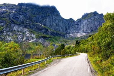 Norveç 'teki Lofoten adalarında deniz kenarındaki yol.