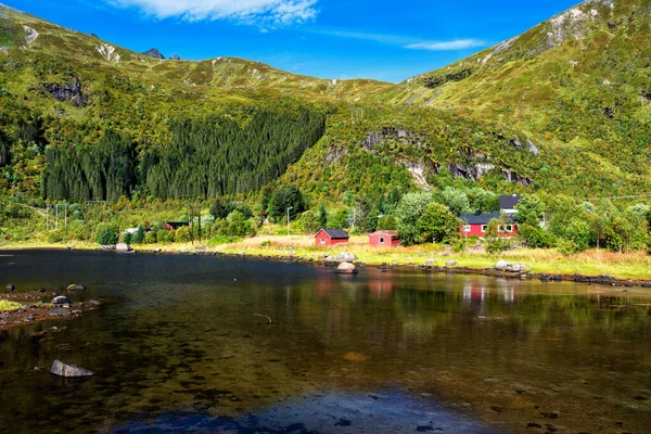 Норвезький Прибережний Ландшафт Типовим Червоним Будинком Дерев Яні Червоні Будинки — стокове фото