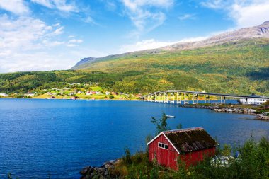 Tipik kırmızı bir evi olan Norveç kıyı manzarası. Tahta kırmızı evlere 