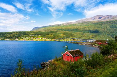 Tipik kırmızı bir evi olan Norveç kıyı manzarası. Tahta kırmızı evlere 