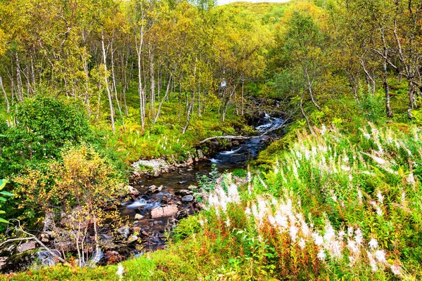 Wazig Water Dat Door Loofbossen Stroomt Noord Noorwegen Scandinavisch Schiereiland — Stockfoto