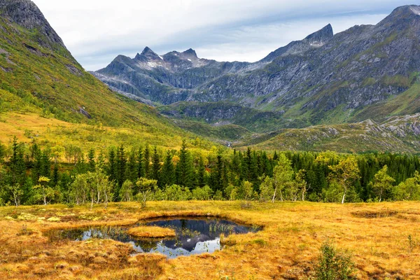 ノルウェーの山 トロムフィンマルク ノルウェーの秋の色 — ストック写真