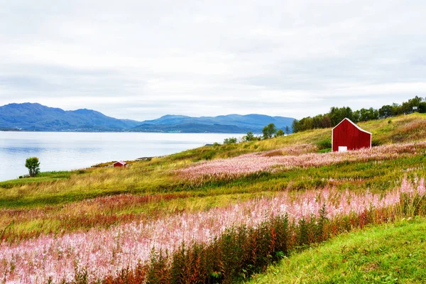 Paisaje Costero Noruego Con Una Típica Casa Roja Las Casas — Foto de Stock