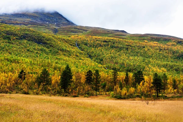 Valle Tamok Tamokdalen Norte Noruega Principios Otoño Día Nublado — Foto de Stock