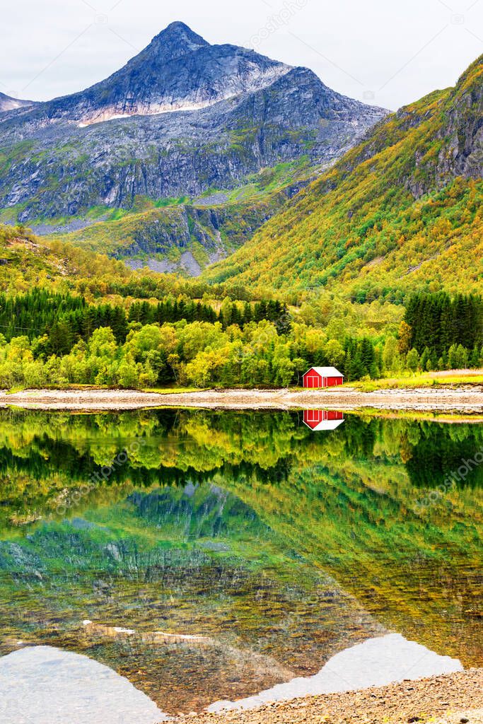 Small red wooden hut on a rocky beach in Lofoten, Norway. Grass in front and reflections in a small pond of water in front of the house.