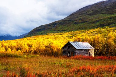 Mevsimlik yaz kulübesi Tamok Vadisi, Norveç 'te bulutlu sonbahar gününde.