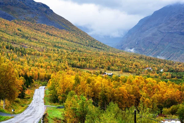 Tamok Valley Tamokdalen Pohjois Norjassa Alkusyksystä Pilvisenä Päivänä — kuvapankkivalokuva