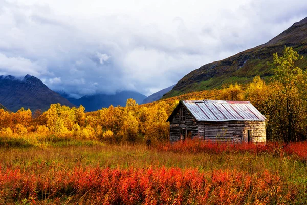 在多云的秋日 在挪威塔莫克谷地清理季节性的夏季小屋 — 图库照片