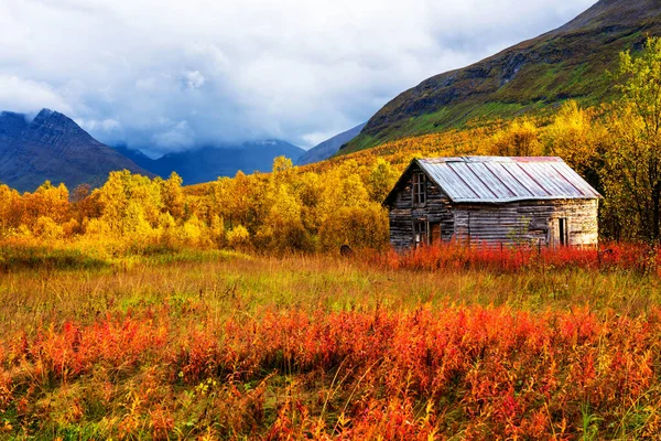 Cabane Été Saisonnière Ona Clairière Dans Vallée Tamok Norvège Par — Photo