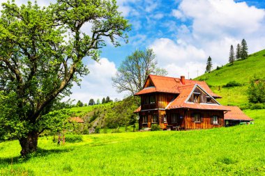 JAWORKI, POLAND - 2 Haziran 2019: Pieniny dağlarındaki eski, ahşap geleneksel ev, Polonya