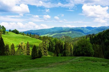 Polonya, Pieniny Ulusal Parkı 'nda bahar günü. Sıcak ve güneşli bir günde Polonya dağlarının manzarası