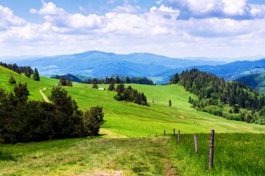 Polonya, Pieniny Ulusal Parkı 'nda bahar günü. Sıcak ve güneşli bir günde Polonya dağlarının manzarası