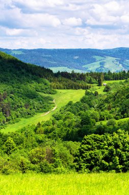 Polonya, Pieniny Ulusal Parkı 'nda bahar günü. Sıcak ve güneşli bir günde Polonya dağlarının manzarası